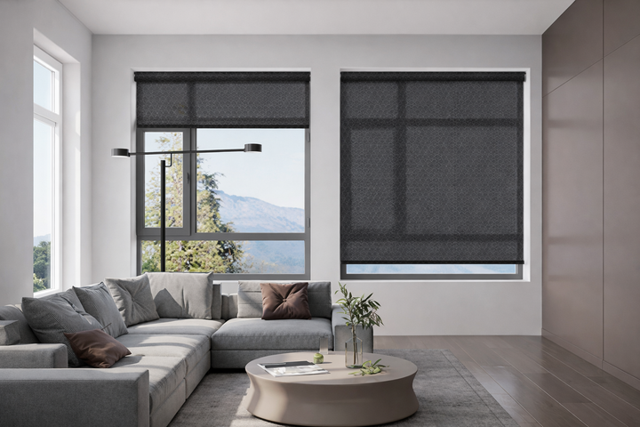 Roller Shades Blackout - Budget Friendly