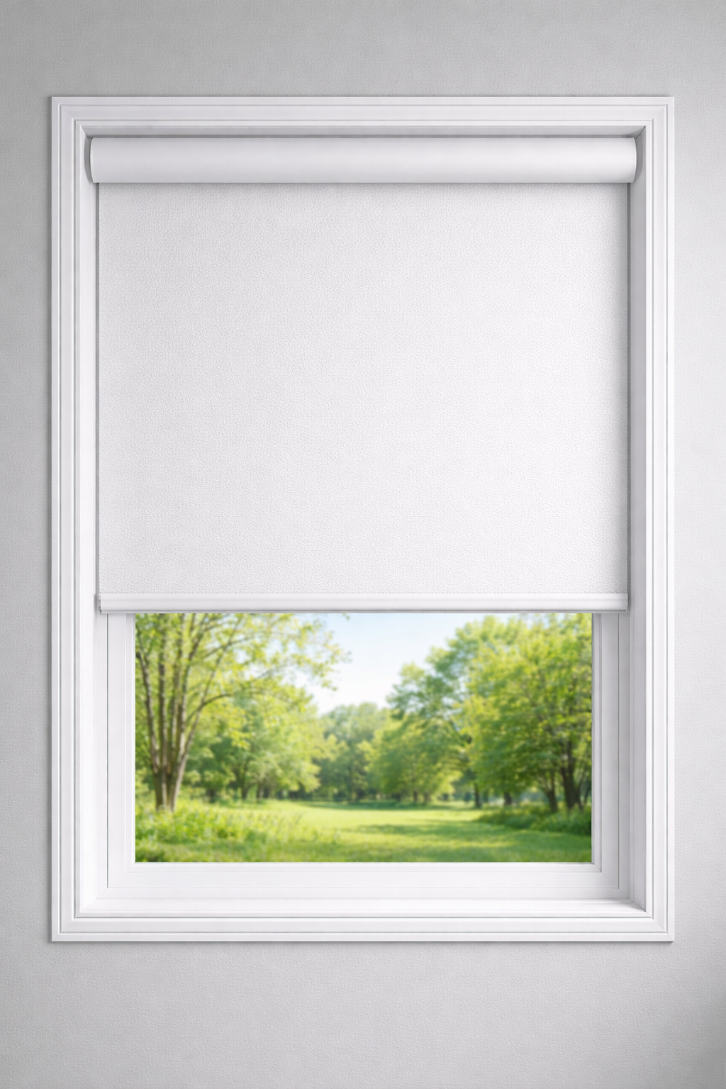 Roller Shades Blackout - Premium Collection