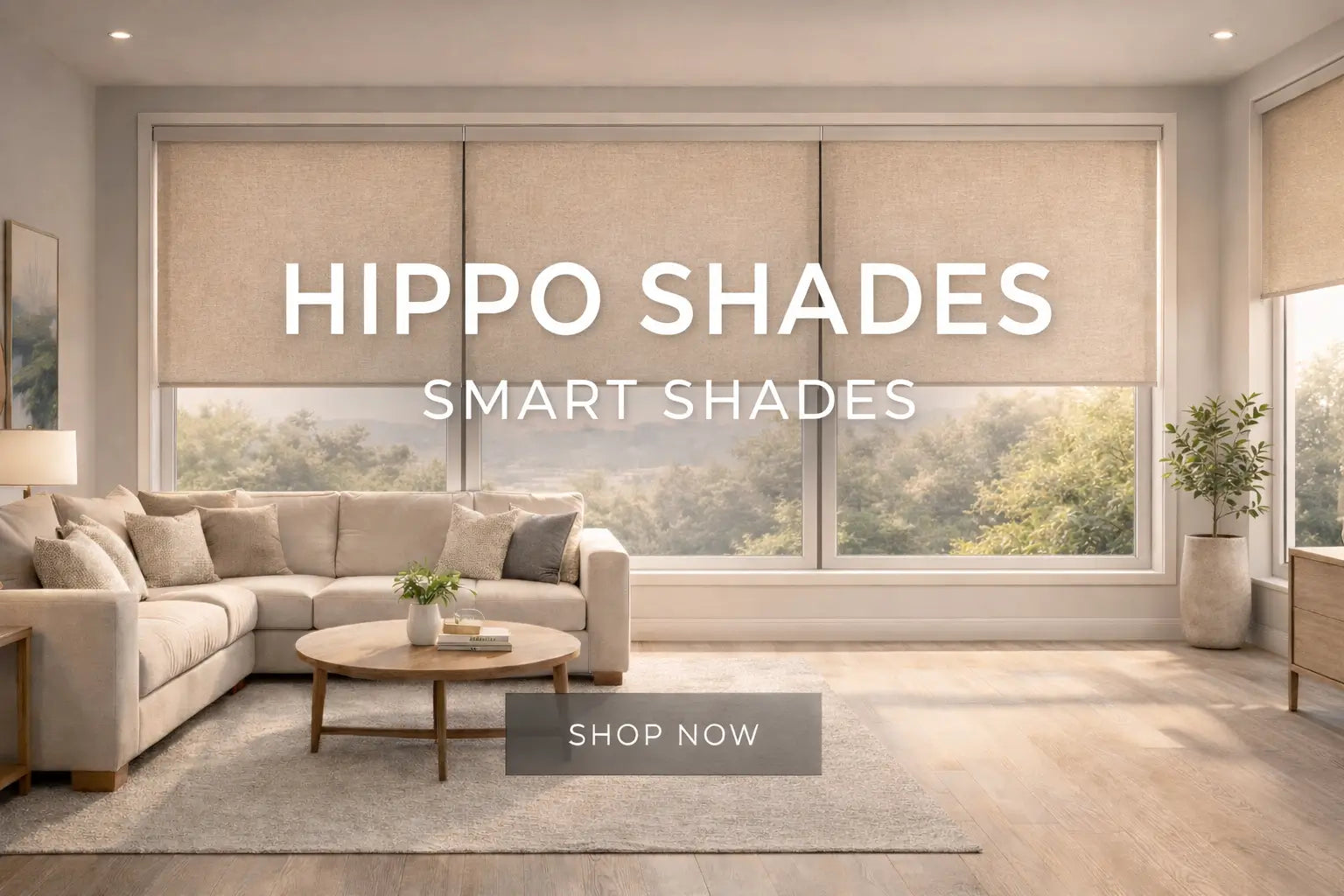 Living room with Hippo Shades smart shades and 'Shop Now' button.