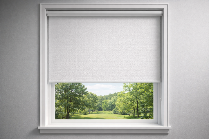Roller Shades Blackout - Budget Friendly