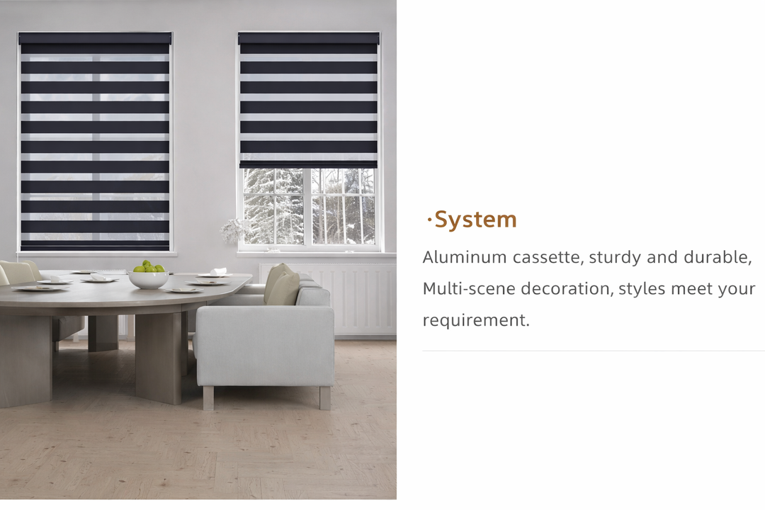 Zebra Shades Blackout - Budget Friendly