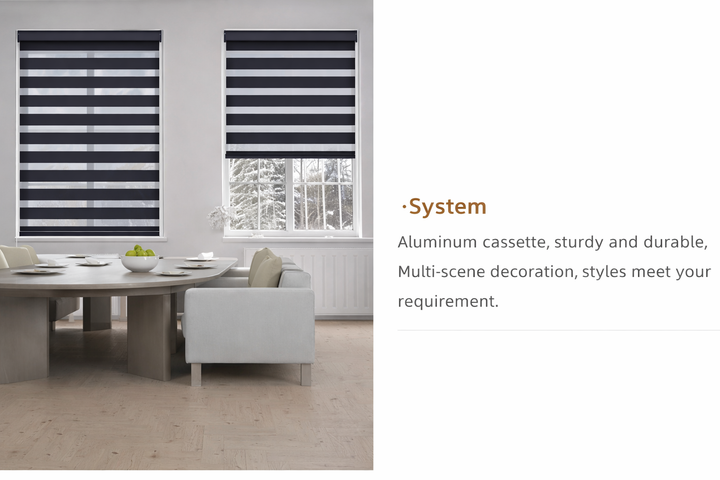 Zebra Shades Blackout - Budget Friendly