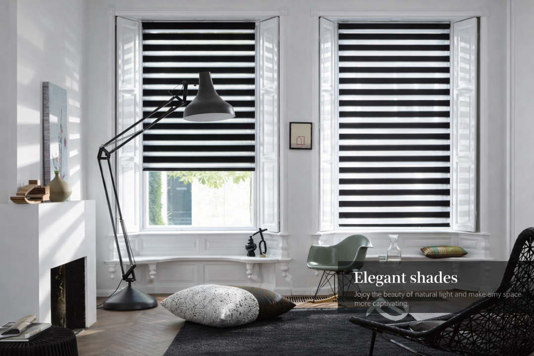 Zebra Shades Blackout - Budget Friendly